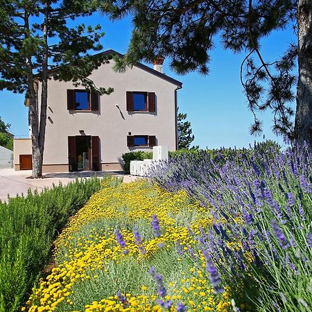 Luxury Villa Gradin Gračišče エクステリア 写真