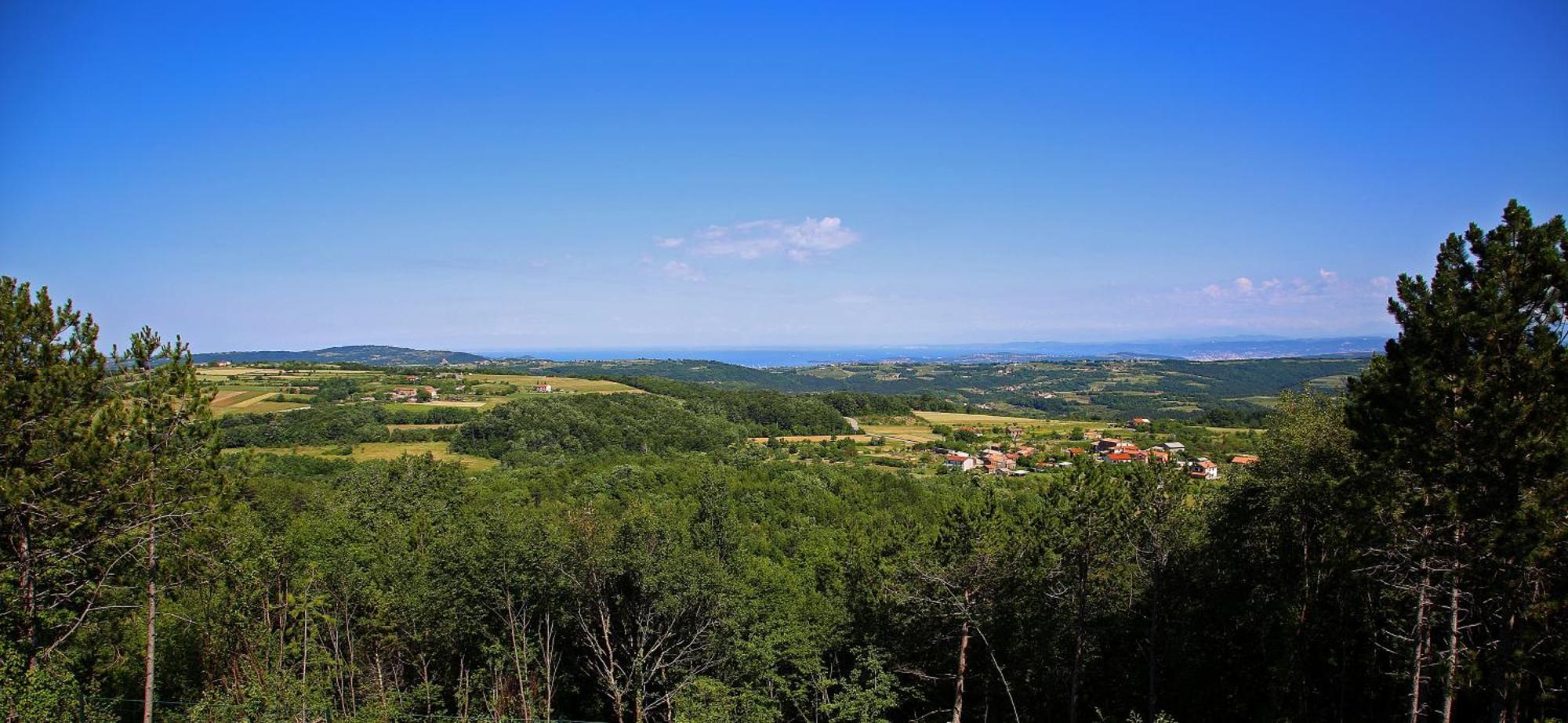 Luxury Villa Gradin Gračišče エクステリア 写真