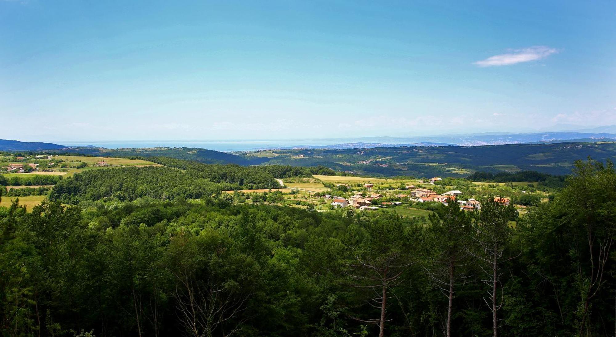 Luxury Villa Gradin Gračišče エクステリア 写真